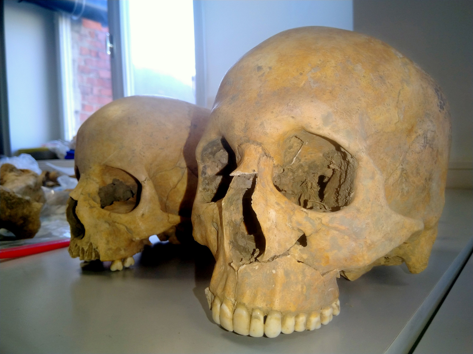 Slika slike/2021/Edukacija iz područja antropologije//IMG_20210119_102214-001.jpg